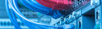 Network cables connected to a switch panel with a blurred background